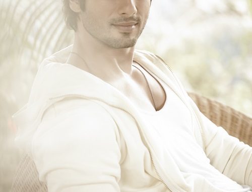 Shahid Kapoor smiles on R.. Rajkumar’s Box Office numbers